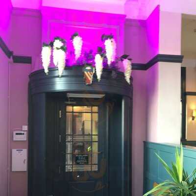 The Fig And The Olive