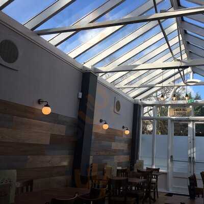 The Lazy Monkey Bar & Kitchen