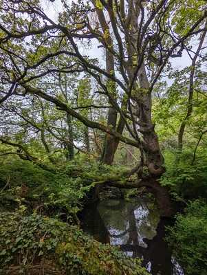 Ability Cafe At The Stables
