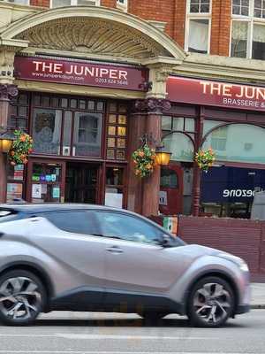 Juniper Kilburn