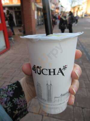 40°cha Taiwanese Bubble Tea