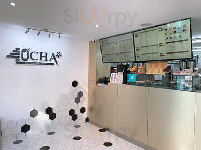 40°cha Taiwanese Bubble Tea