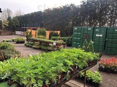 Godbolts Nursery Tea Room