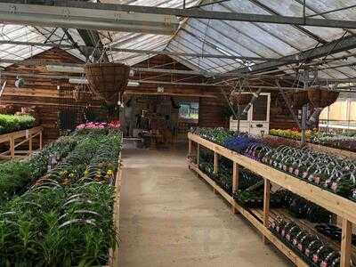 Godbolts Nursery Tea Room