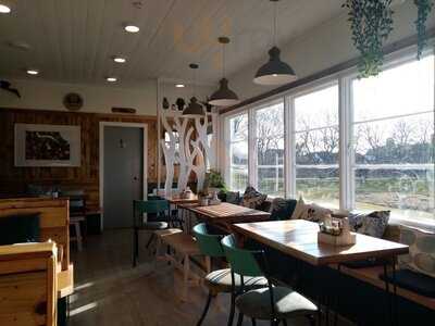 Wishing Tree By The Sea