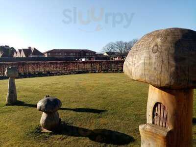 Wishing Tree By The Sea