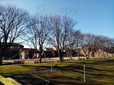 Wishing Tree By The Sea