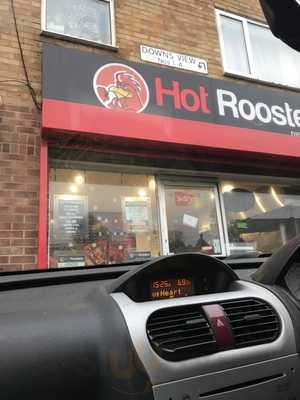 Hot Roosters