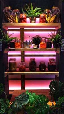 Ramen Chill Westcliff