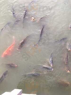 Doubletree By Hilton Cambridge Belfry