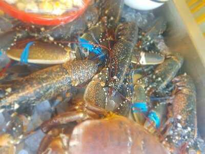 Shelby's Seafood & Steak