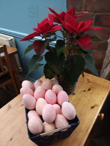 The Ox Oriental Connexions Restaurant, Bar & Take Away