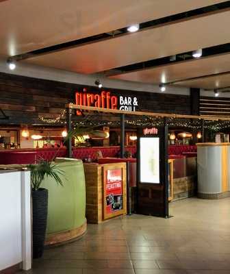 Giraffe  Sheffield Meadow Hall