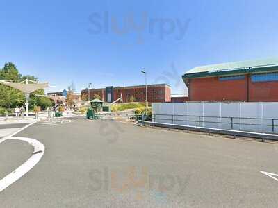 Giraffe  Sheffield Meadow Hall