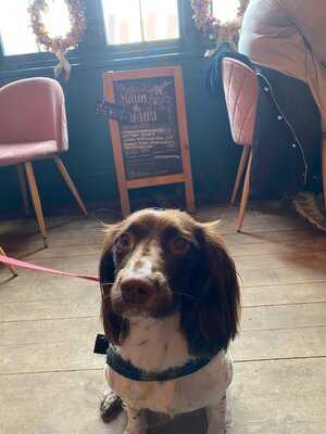 The Boathouse Newmillerdam