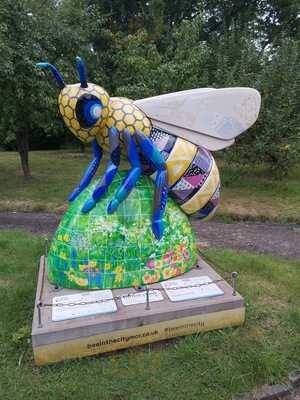 Clayton Hall Tearooms