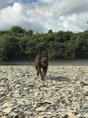 Roisin’s Tea And Coffee Room