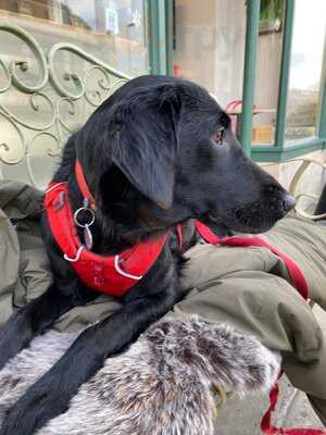 Dexter's Coffee Shop