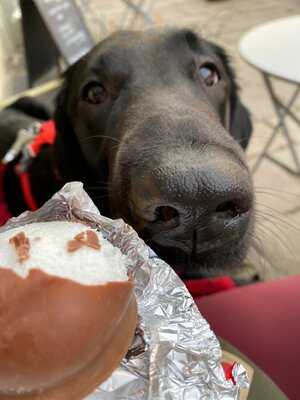 Dexter's Coffee Shop