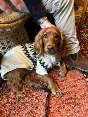 Morridge Oats + Coffee