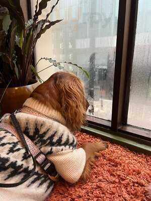 Morridge Oats + Coffee