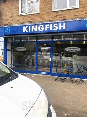 Kingfish
