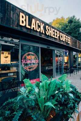 Black Sheep Coffee