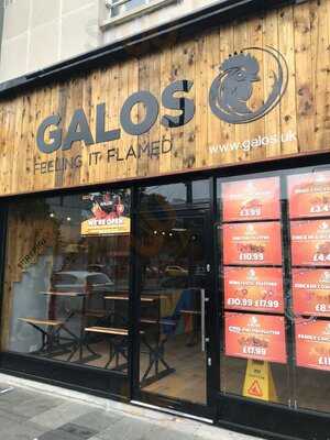 Galos