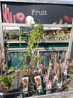 Osterley Garden Centre Restaurant