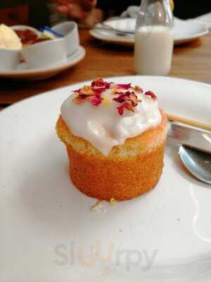 Red.h - Real English Drinks House