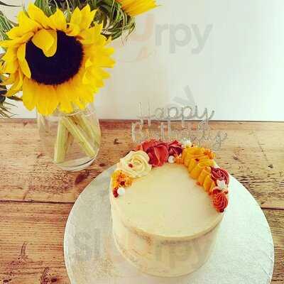 Grounded In The North