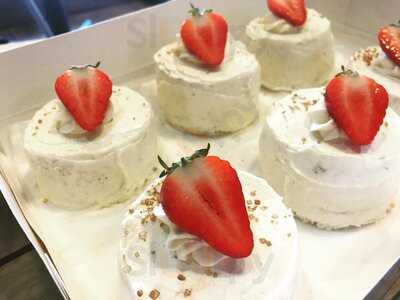 Grounded In The North