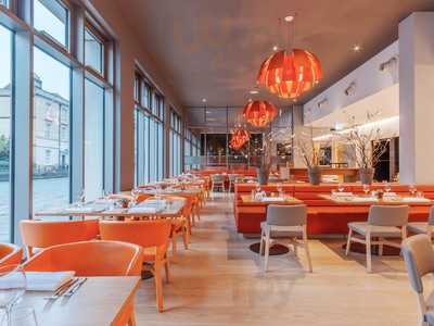 The Orange Artichoke