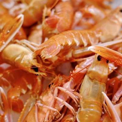 Bourne's Fishmongers