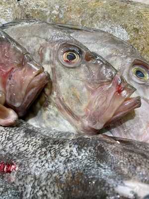 Bourne's Fishmongers