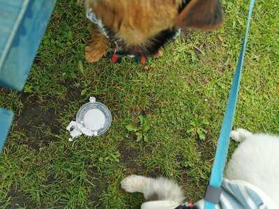 Bakehouse And The Hatch