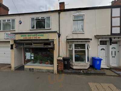 Spring Chop Suey House