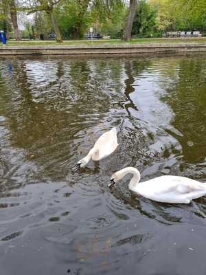 Edwards Coffee House