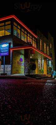 The Water Lily Mansfield