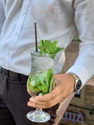 The Water Lily Mansfield