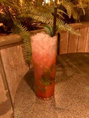 The Botanist Lincoln Bar & Restaurant