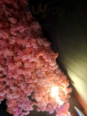 Akaya Restruant & Lounge (halal)