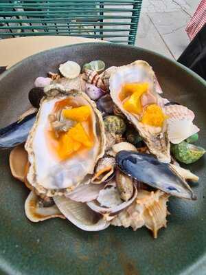 Cha Cha X Sister Jane