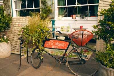 The Little Orange Door