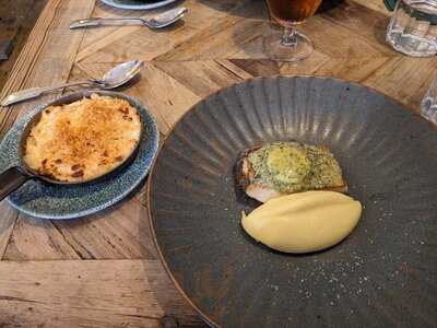 The Stubborn Duckling