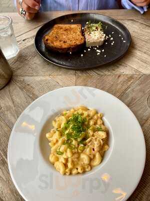 The Stubborn Duckling