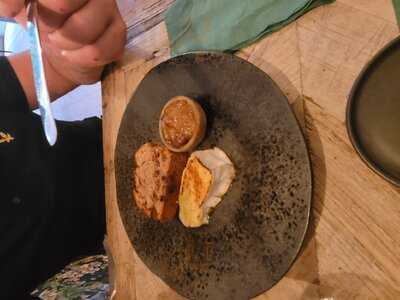 The Stubborn Duckling