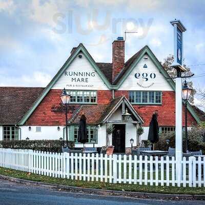 Ego At Running Mare, Chelmsford