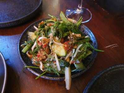 The Social Distortion