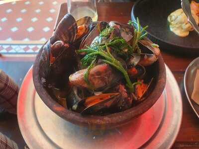 The Social Distortion